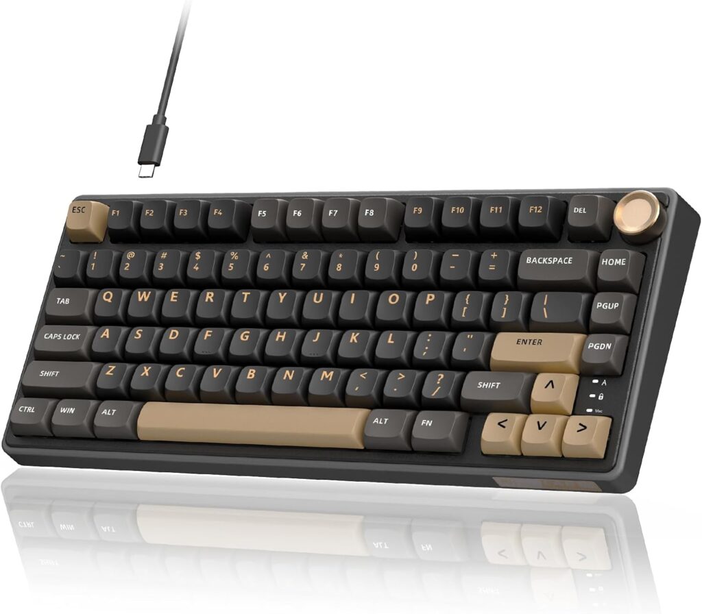 RK ROYAL KLUDGE R75 Wired Gaming Keyboard with Volume Knob, 75% Mechanical Gaming Keyboard Custom Gasket Mount with MDA Profile PBT Keycaps, QMK/VIA, Hot Swappable Silver Switch, Black